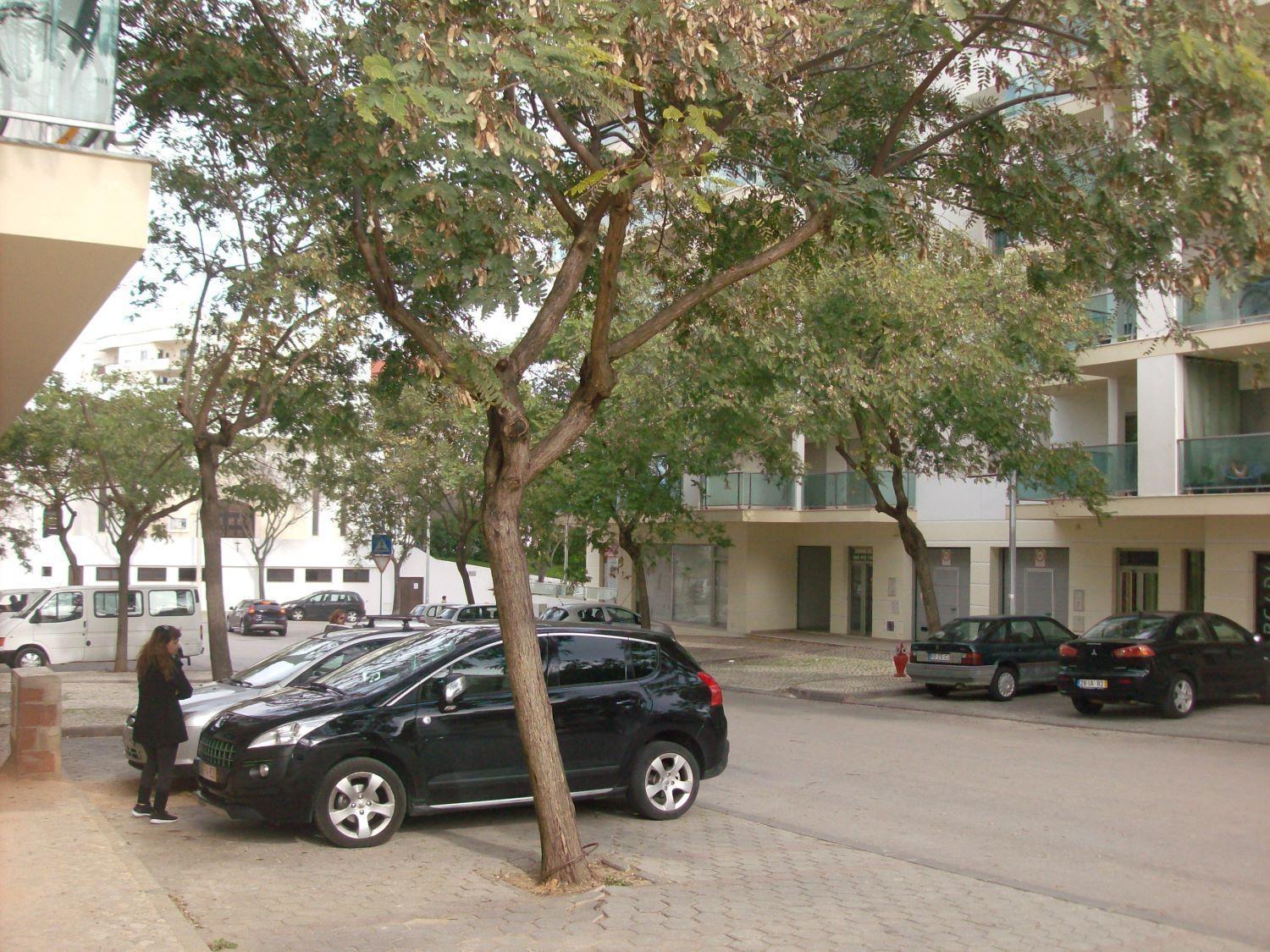 Appartement Pinheiro Portimão Exterior foto